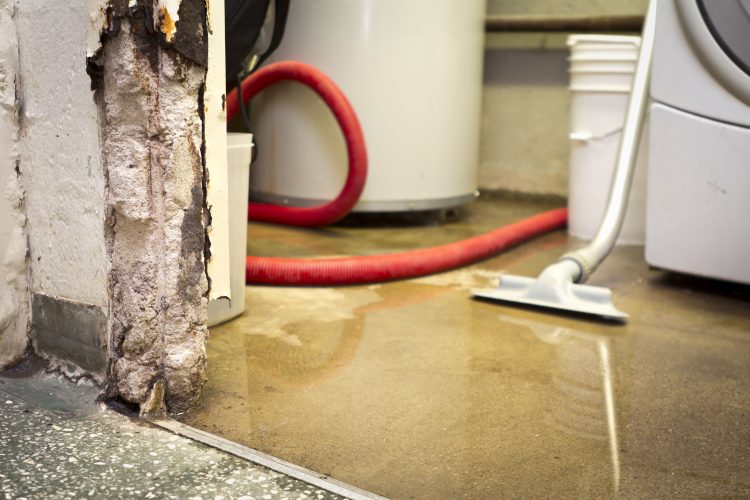 water damaged wet basement