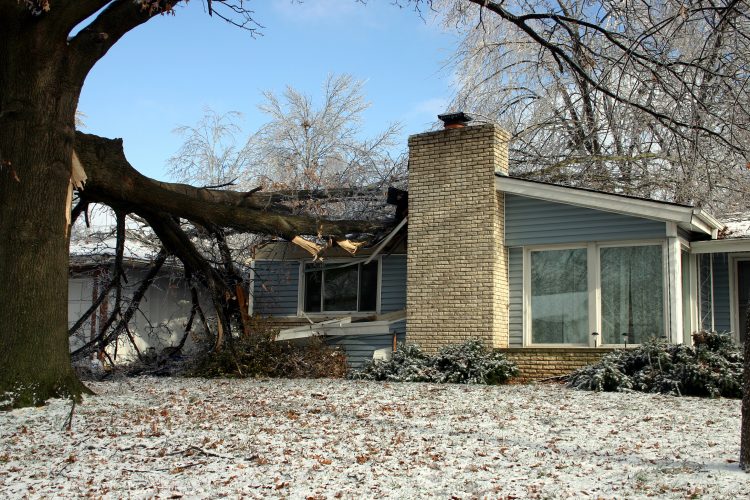Winter Storm Damage